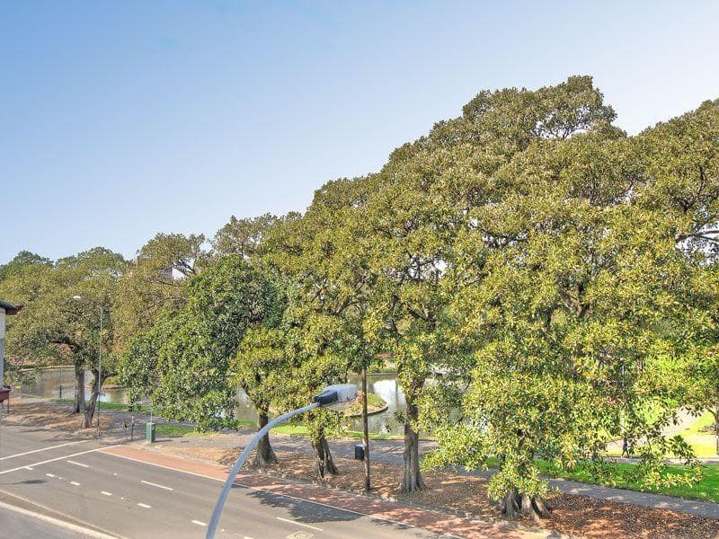 319/2-12 Glebe Point Rd, Glebe, Glebe - Thumbnail 5