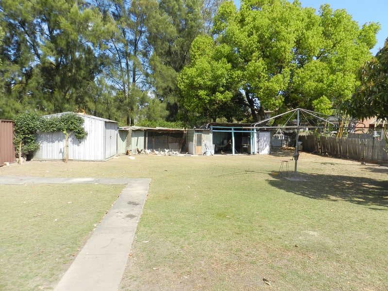 8 Bareena St, Canley Vale, Canley Vale - Thumbnail 2