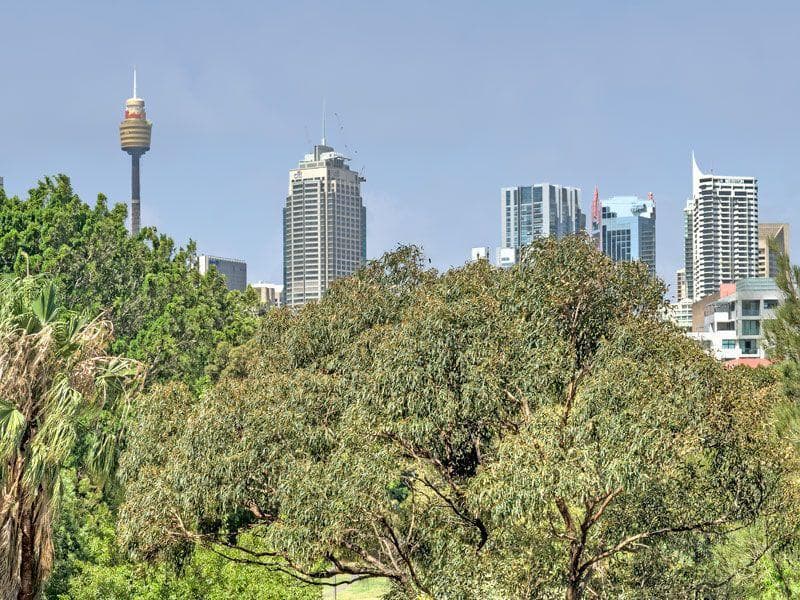 304/34 Wentworth St, Glebe, Glebe - Thumbnail 5