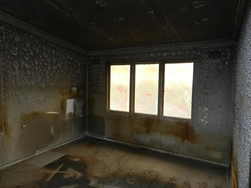 91 Carlisle Ave, Hebersham, Hebersham - Thumbnail 4
