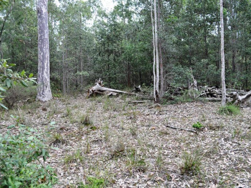 10 + 12																										Chester Street
														
								Mount Druitt, NSW 2770, Werombi - Image 1