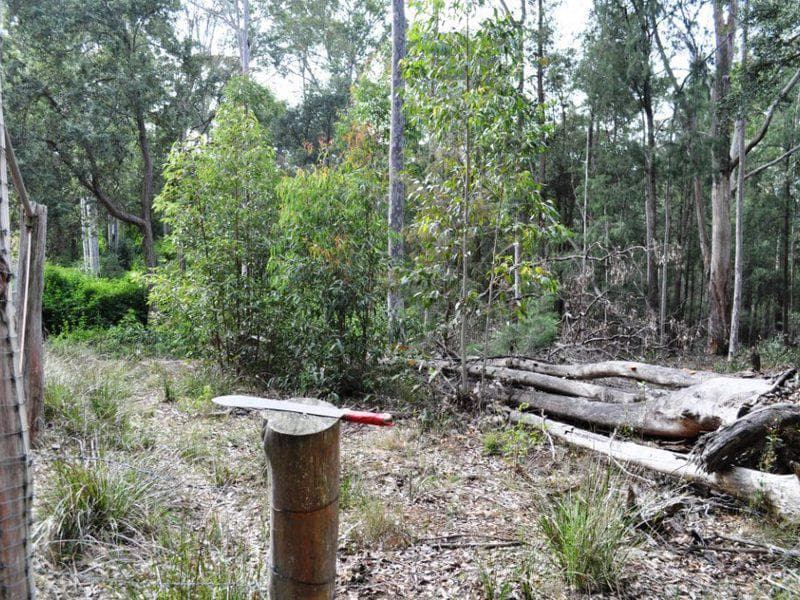 10 + 12																										Chester Street
														
								Mount Druitt, NSW 2770, Werombi - Thumbnail 2