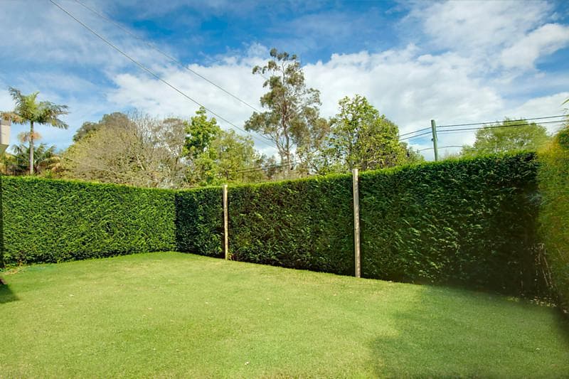10 Glendon Road, Double Bay, Double Bay - Thumbnail 6