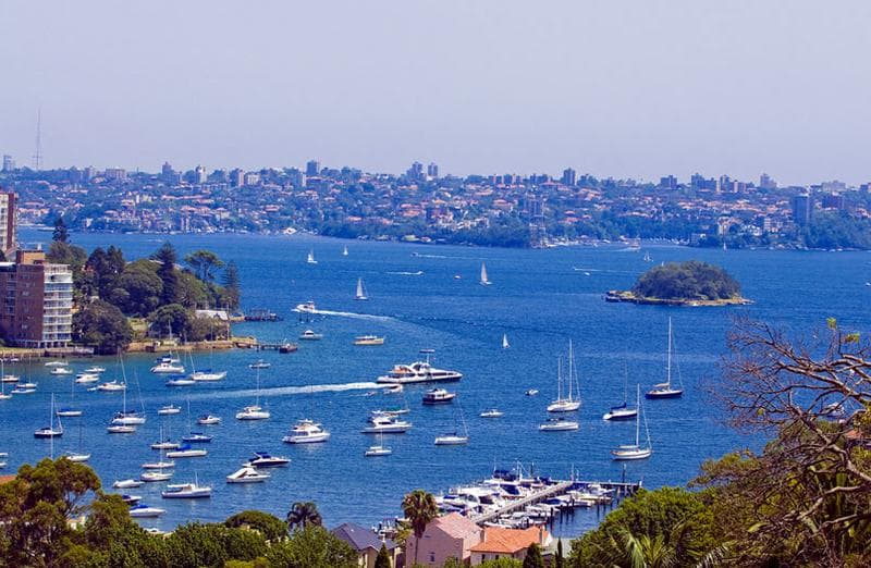 12 Tarrant Ave, Bellevue Hill, Bellevue Hill - Image 1