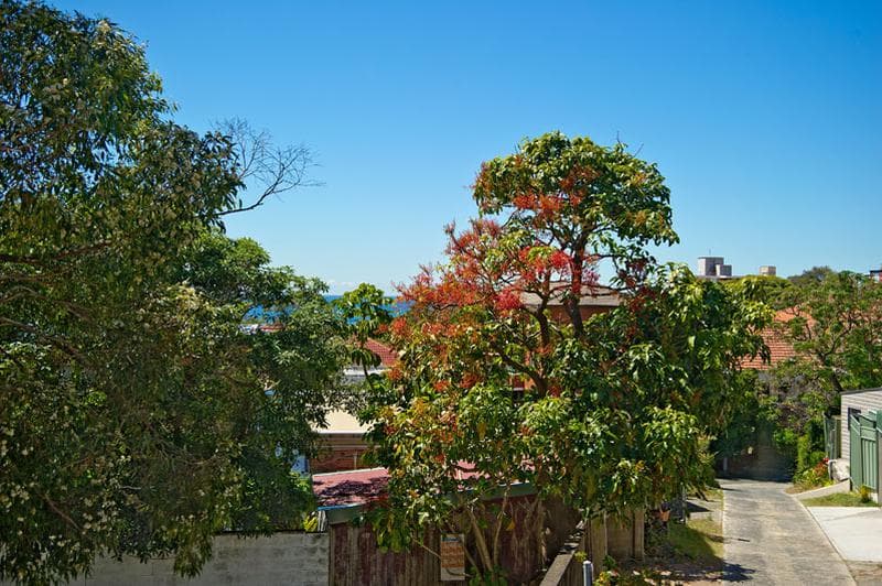 2/8 Moore Street, Bondi, Bondi - Thumbnail 6
