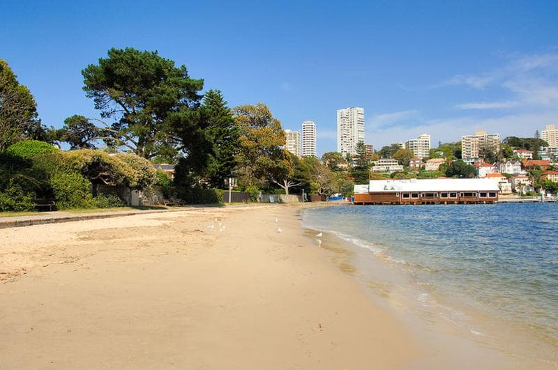 16 Guilfoyle Avenue, Double Bay, Double Bay - Thumbnail 7