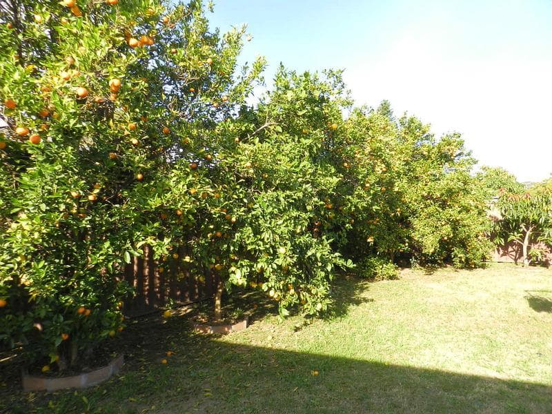8 Bulls Rd, Wakeley, Wakeley - Thumbnail 7