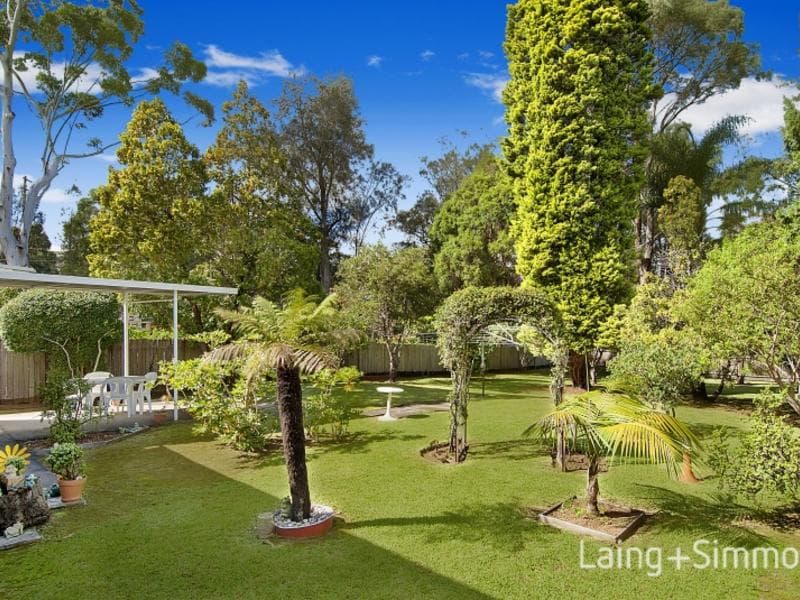 6 Hall Avenue, Thornleigh, Thornleigh - Thumbnail 7