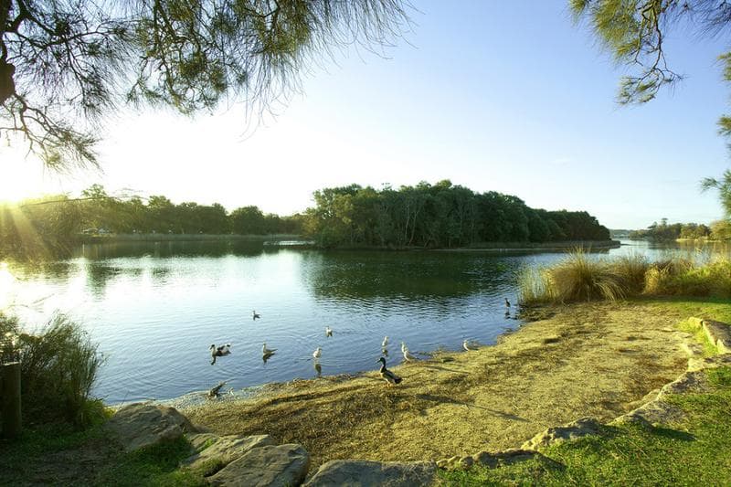 11/10-12 Robertson Street, Narrabeen, Narrabeen - Thumbnail 8