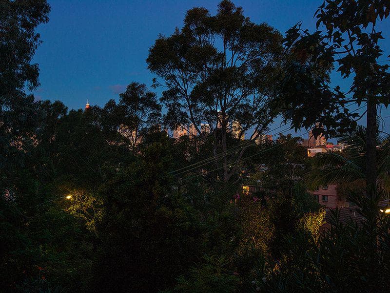 14/10 Leichhardt Street, Glebe, Glebe - Thumbnail 6