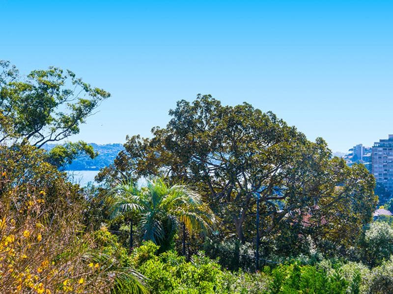 10/321 Edgecliff Road, Woollahra, Woollahra - Thumbnail 4