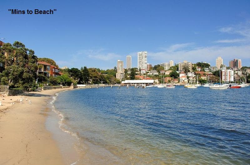 7 Riddell Street, Bellevue Hill, Bellevue Hill - Thumbnail 6