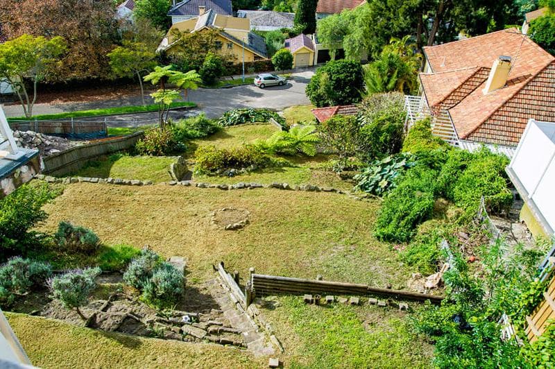 40 Cranbrook Road, Bellevue Hill, Bellevue Hill - Thumbnail 7