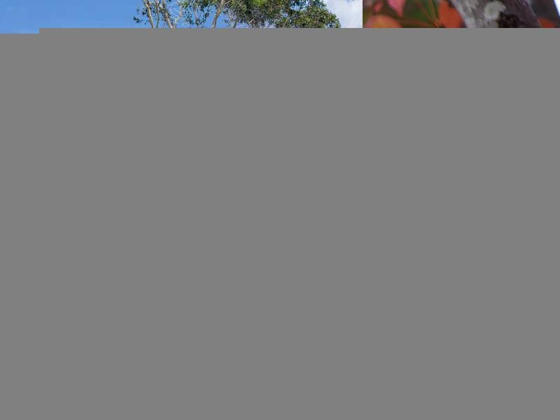 11-13 Durham Street, Mount Druitt, Mount Druitt - Thumbnail 2