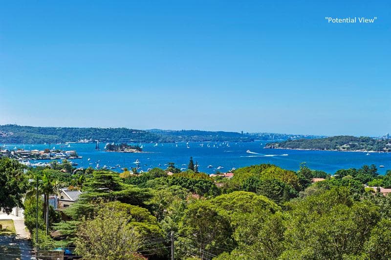 52 Drumalbyn Road, Bellevue Hill, Bellevue Hill - Image 1