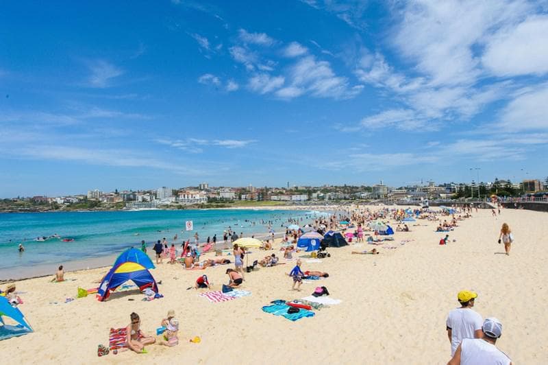 88-90 Curlewis Street, Bondi Beach, Bondi Beach - Thumbnail 7