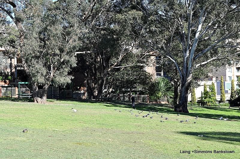 16/24 Sir Joseph Banks Street, Bankstown, Bankstown - Thumbnail 4