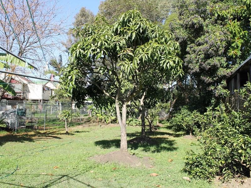 11/155																										Greenacre Road
														
								Greenacre, NSW 2190, Lansvale - Thumbnail 5