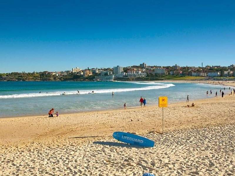 7 Bonus Street, North Bondi, North Bondi - Thumbnail 8