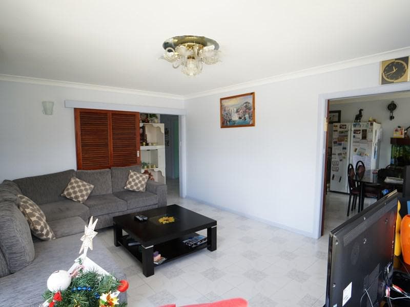 19 Mittiamo St, Canley Heights, Canley Heights - Thumbnail 3