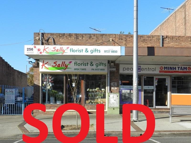256-258 Canley Vale Road, Canley Heights, Canley Heights - Image 1