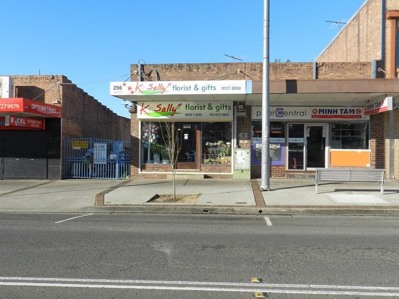 256-258 Canley Vale Road, Canley Heights, Canley Heights - Thumbnail 6