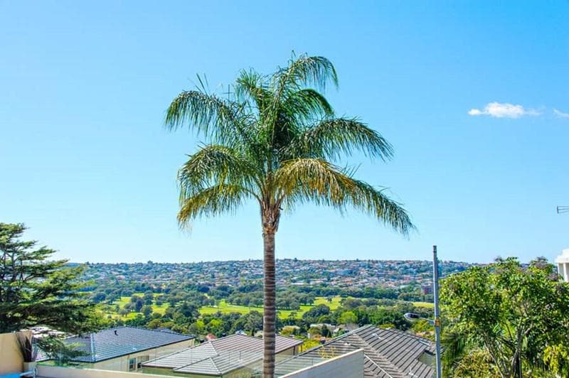 1/147 Victoria Road, Bellevue Hill, Bellevue Hill - Thumbnail 4