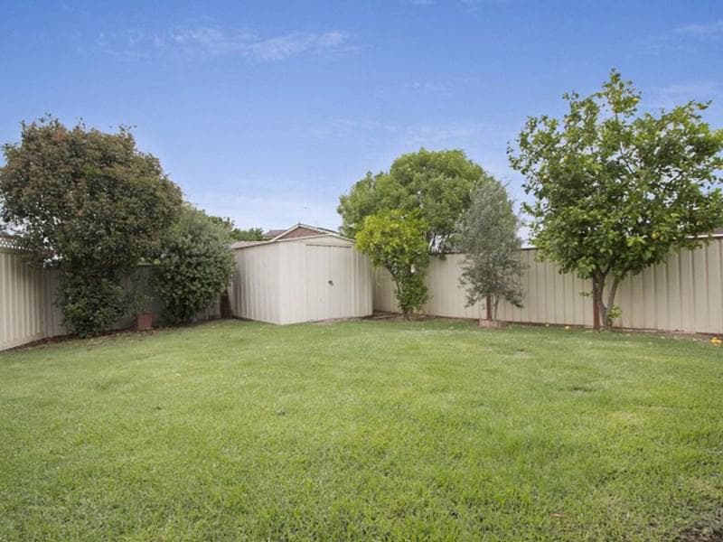 7 Camilleri Ave, Quakers Hill, Quakers Hill - Thumbnail 6