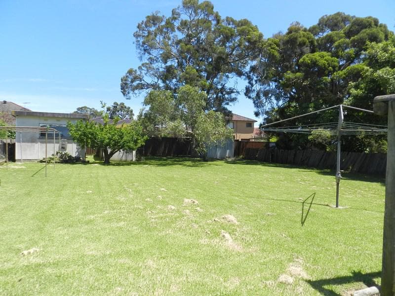 13 Loloma Street, Cabramatta, Cabramatta - Thumbnail 5