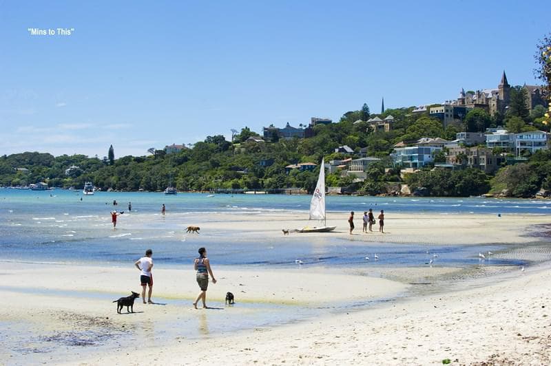 51 Balfour Road, Bellevue Hill, Bellevue Hill - Thumbnail 4
