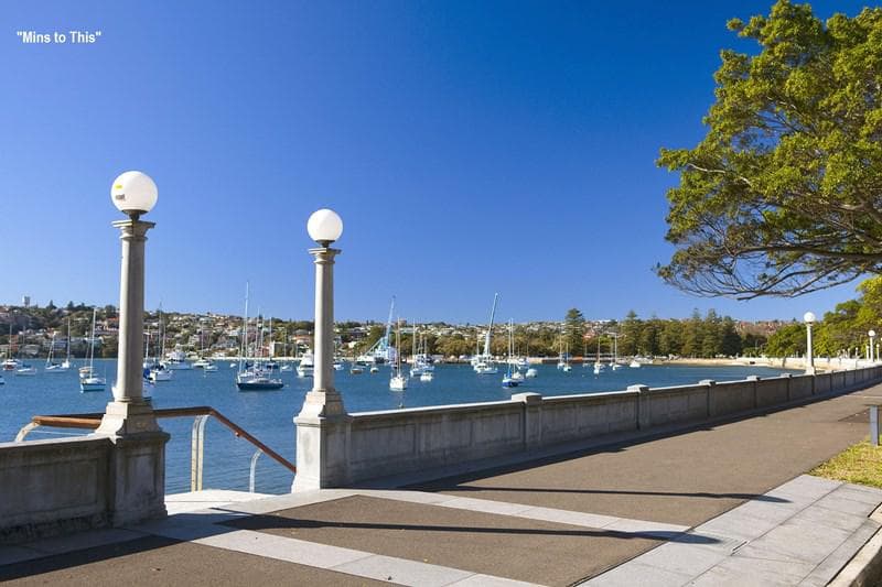 51 Balfour Road, Bellevue Hill, Bellevue Hill - Thumbnail 5