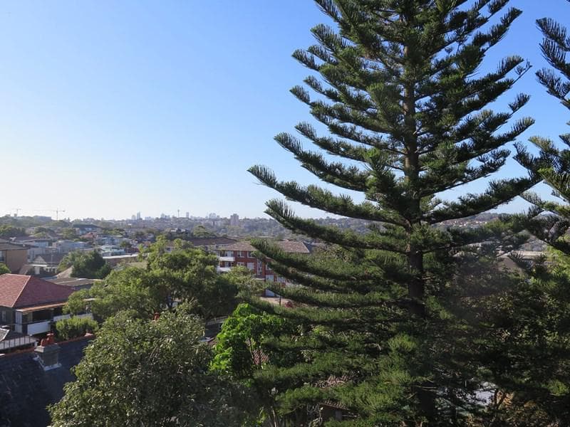 302a Rainbow Street, Coogee, Coogee - Thumbnail 8