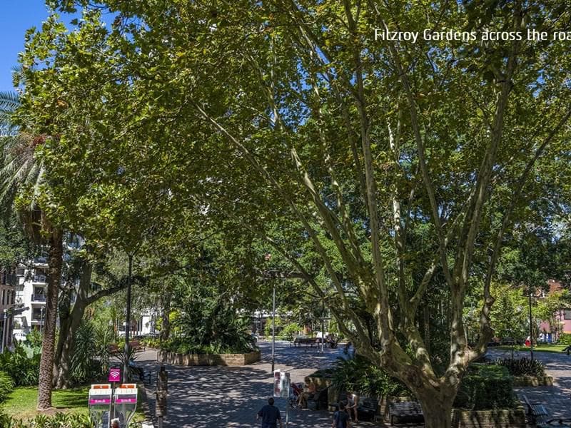 4/117d Macleay Street, Potts Point, Potts Point - Thumbnail 6