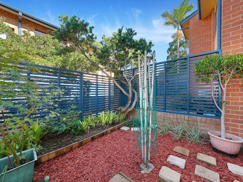 9/5-11 Benton Avenue, Artarmon, Artarmon - Thumbnail 7
