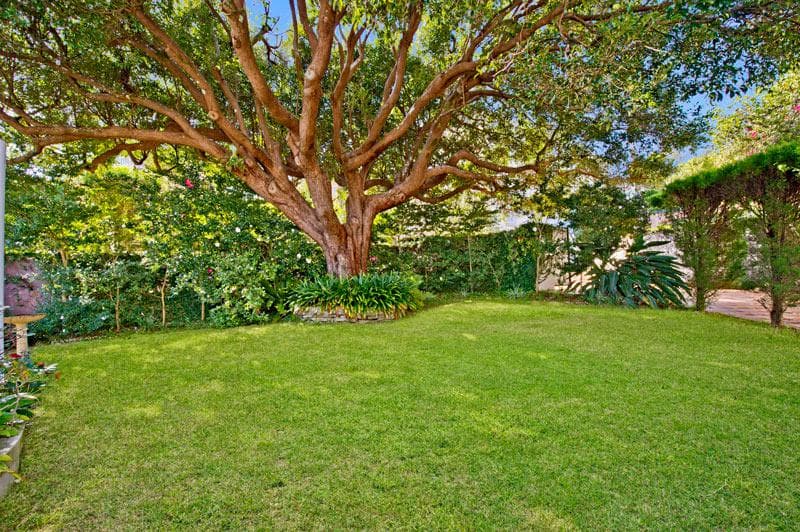 1 Graylind Place, Vaucluse, Vaucluse - Thumbnail 5