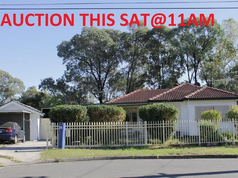 25 Grant Avenue, Cabramatta, Cabramatta - Image 1
