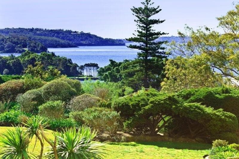 1b/5-11 Thornton Street, Darling Point, Darling Point - Thumbnail 4