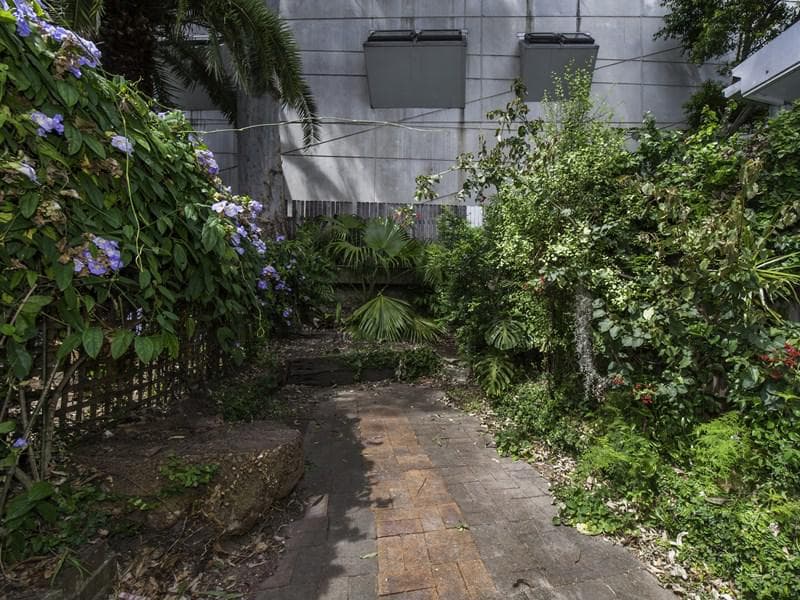 2 Clifton Reserve, Surry Hills, Surry Hills - Thumbnail 3