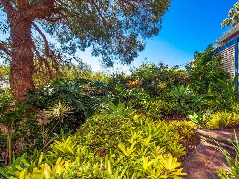 42 Jacaranda Place, South Coogee, South Coogee - Thumbnail 8