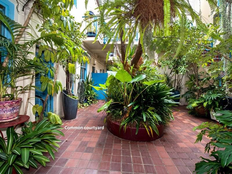 8/253 Palmer Street, Darlinghurst, Darlinghurst - Thumbnail 2