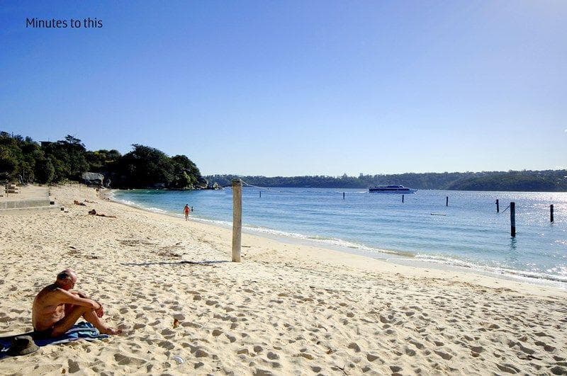 14 Fitzwilliam Road, Vaucluse, Vaucluse - Thumbnail 5