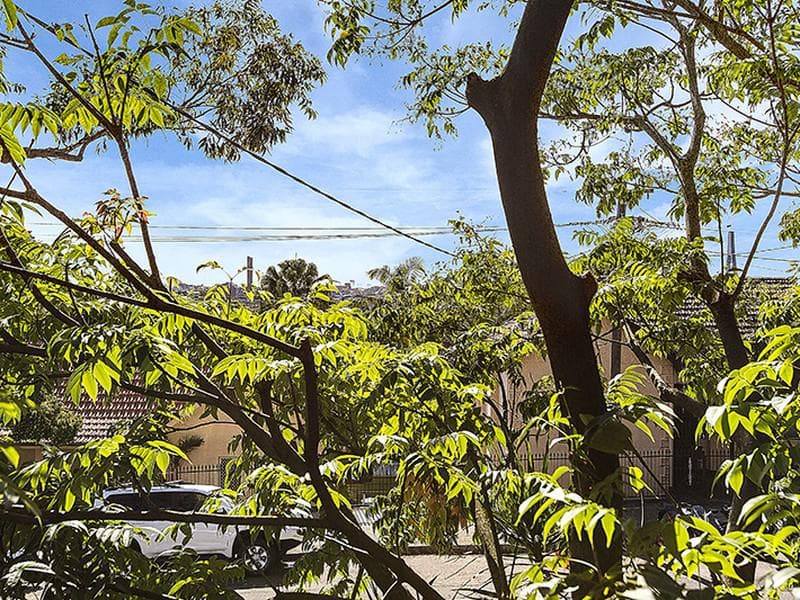 30 Rose Street, Annandale, Annandale - Thumbnail 8