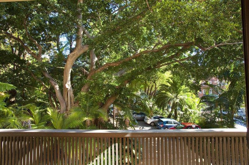 3/337 New South Head Road, Double Bay, Double Bay - Thumbnail 8