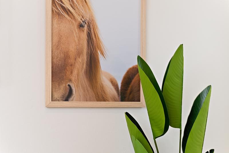 15/27 Johnston Street, Annandale, Annandale - Thumbnail 5
