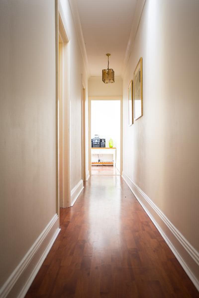 9 Merton Street, Zetland, Zetland - Thumbnail 5
