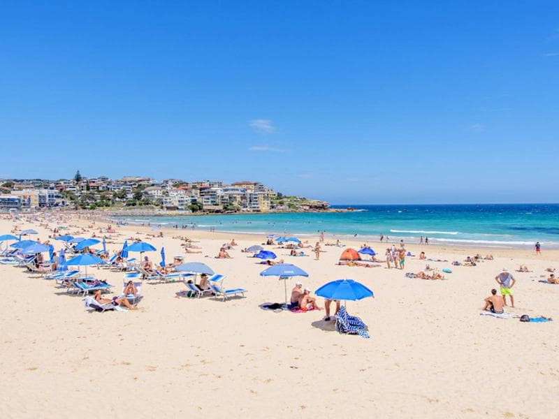 4/68 Hall Street, Bondi Beach, Bondi Beach - Thumbnail 7