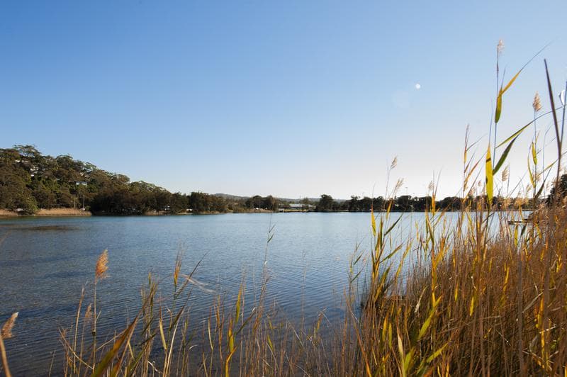 3/20 Lisle Street, Narrabeen, Narrabeen - Thumbnail 8