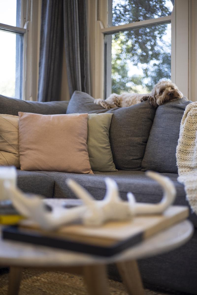 1/35 Park Street, Narrabeen, Narrabeen - Thumbnail 8
