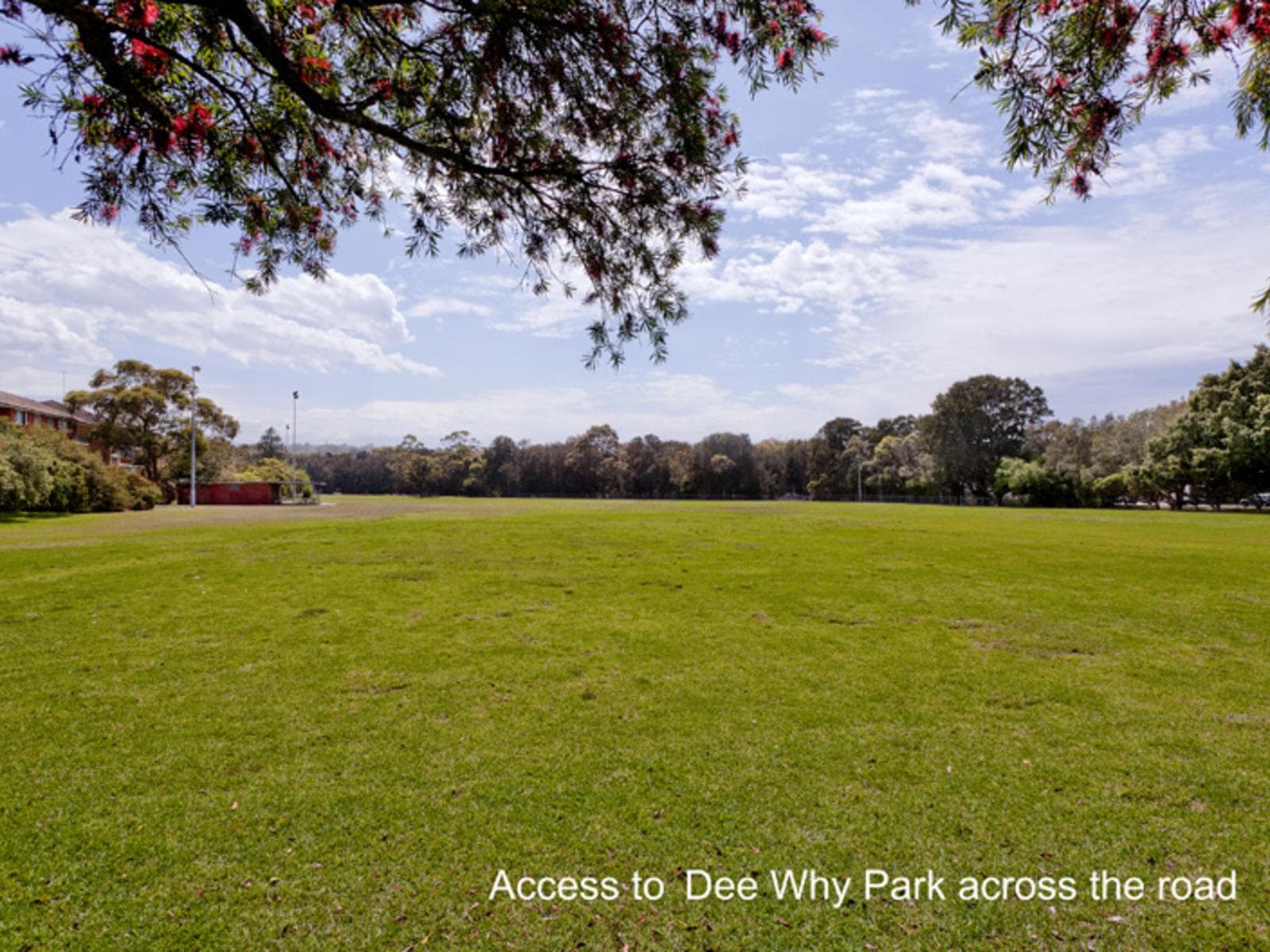 5/3 Grafton Crescent, Dee Why, Dee Why - Thumbnail 6