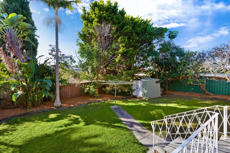 225 Box Road, Sylvania - Thumbnail 5